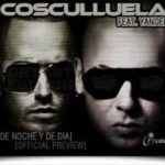 Cosculluela Ft. Yandel - De Noche y De Dia MP3
